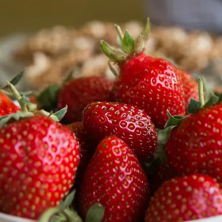 Appartamento Bodo Park *