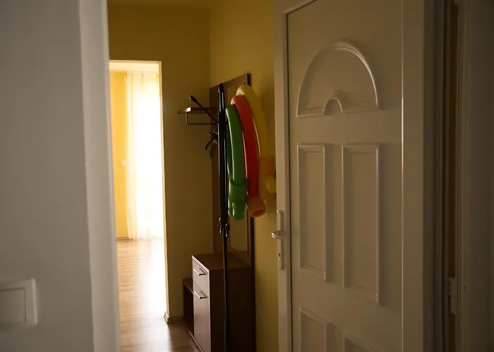 Bodo Park ヘーヴィーズ