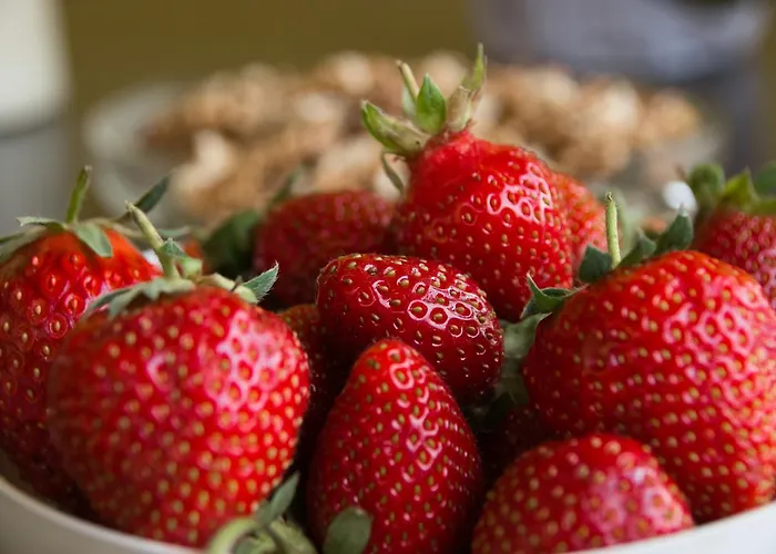 アパート Bodo Park *