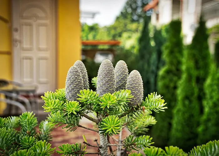 アパート Bodo Park ヘーヴィーズ