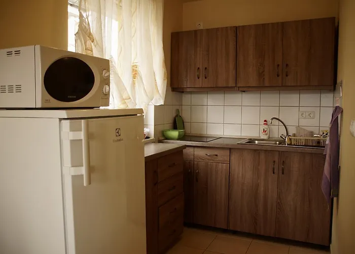 Bodo Park ヘーヴィーズ